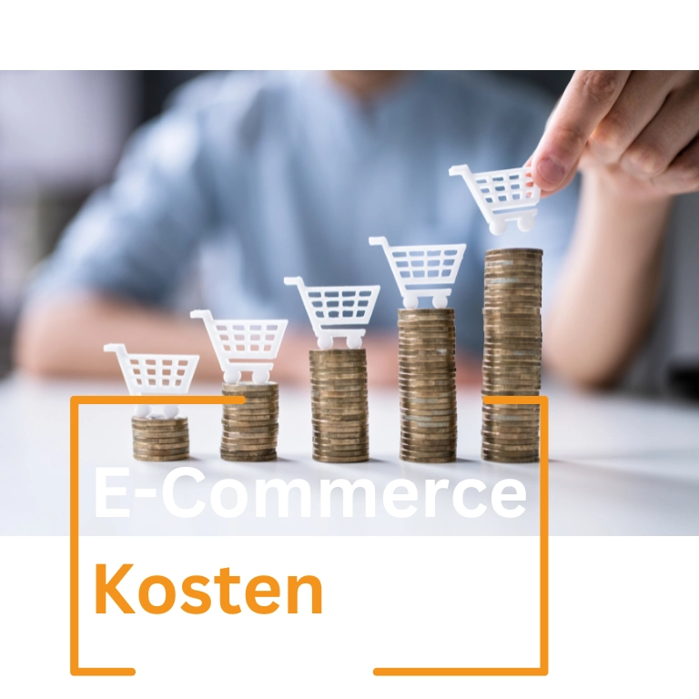 E-Commerce Kosten